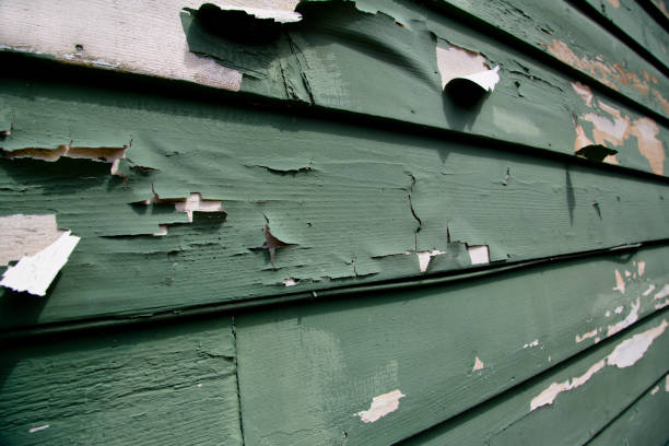 Best Same-Day Junk Removal Services  in Ithaca, NY