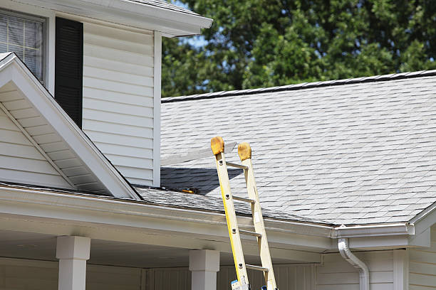Best Construction Debris Removal  in Ithaca, NY